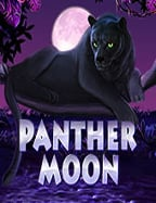 รีวิวสล็อต ค่าย นอก เว็บ ตรง กับความน่าสนใจที่คุณไม่ควรพลาด